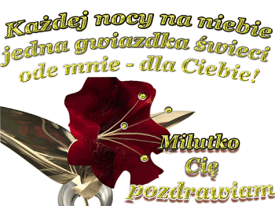 Czerwony kwiat z pozdrowieniami na dobranoc